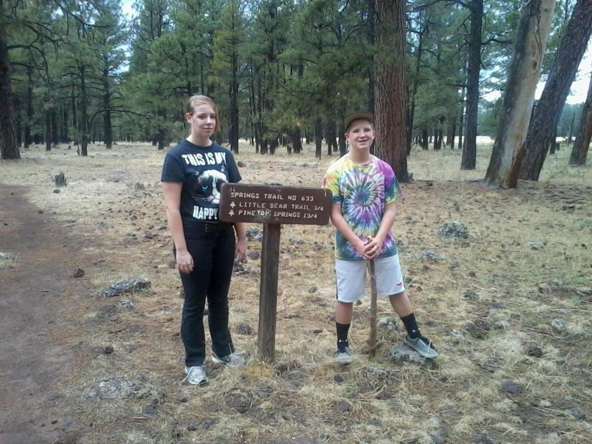 Adair Springs Cabin Pinetop-Lakeside Dış mekan fotoğraf
