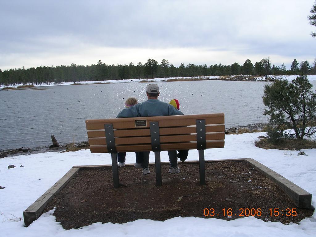 Adair Springs Cabin Pinetop-Lakeside Dış mekan fotoğraf