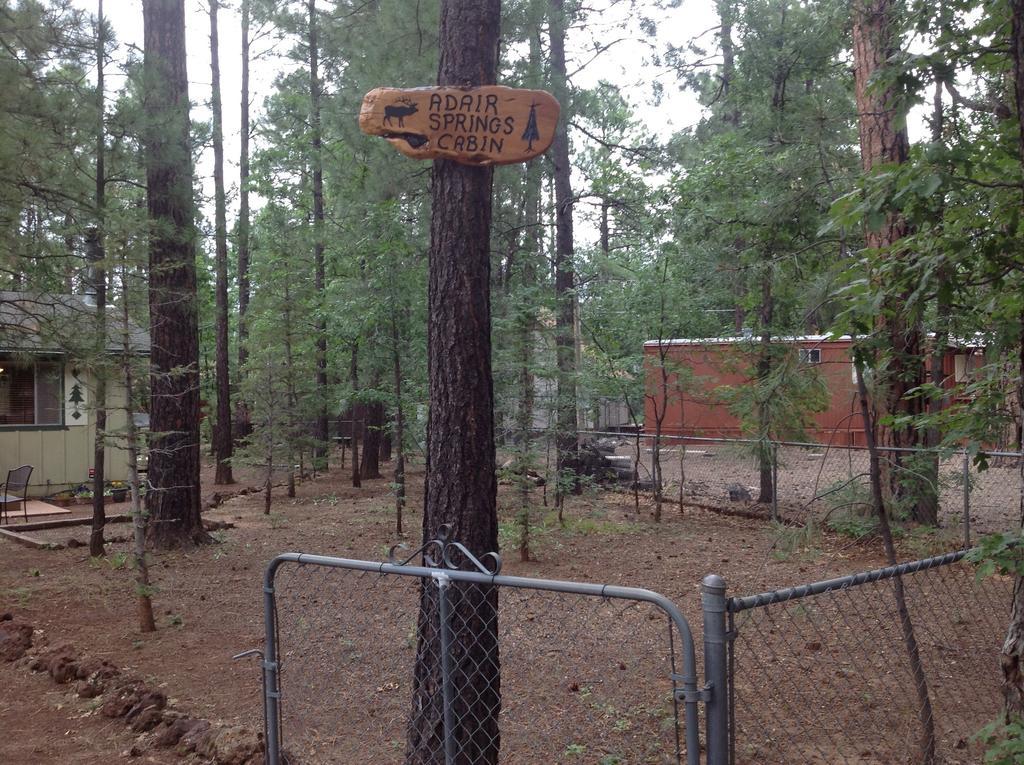 Adair Springs Cabin Pinetop-Lakeside Dış mekan fotoğraf