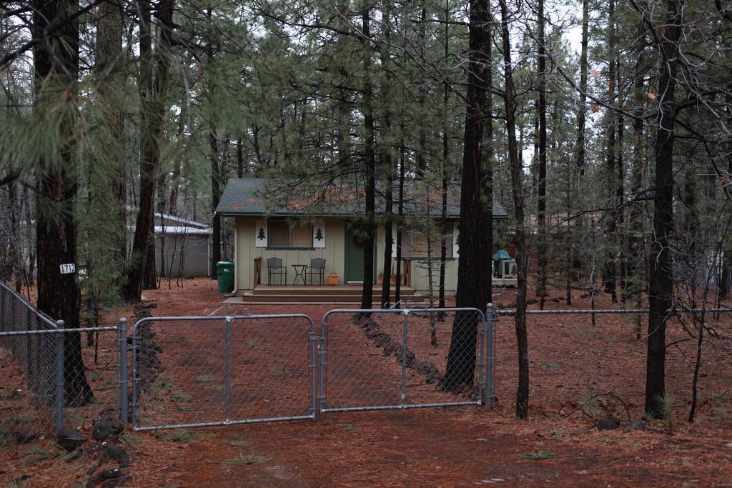 Adair Springs Cabin Pinetop-Lakeside Dış mekan fotoğraf