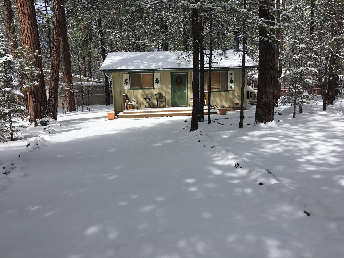 Adair Springs Cabin Pinetop-Lakeside Dış mekan fotoğraf
